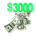 $3000,- Homeowner Bonus