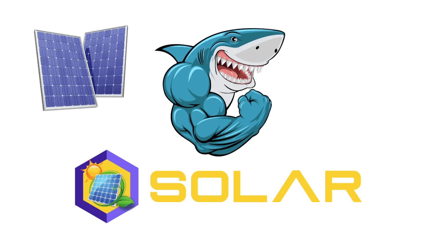 Hero Section Steve BlockShark